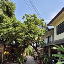 리버(river) | 루앙프라방 숙소 '빌라 남칸 리버(Villa Namkhan River)' 솔직한 숙박 후기