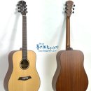 통기타(입문A) 이미지