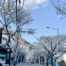 이삭컷트클럽