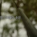 새밤농장 이미지