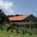 부안숲속궁전하우스펜션 이미지