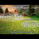 메기의 추억 이미지