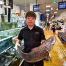 대어회수산 | 노량진 방어 맛집 내돈내산 전라상회 포장 가락수산시장 방어회 추천 대어나라