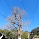 오저1리 이미지