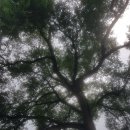 주천농장 이미지