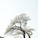 진중1리 이미지