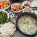 창원마산맛집추천 소문난 돼지국밥 삼영식당 : 메뉴판, 가격, 내돈내산 후기
