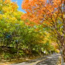 목동서로10길 이미지