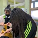 순천신흥중학교 이미지