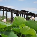 남생이못 이미지