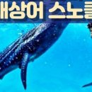 노스랜드투어