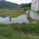 창녕 비봉리 패총전시관 이미지