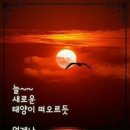 1월 6일 토요일 파주 금릉역 강호당구클럽에는...(대대6대, 중대6대, 포켓1대) 이미지