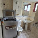 화이트텔 이미지