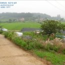 삼월리 이미지