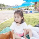 노랑통닭나주 - 나주시 빛가람로 689 | 노랑통닭나주
