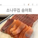 소나무집 티스토리