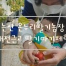 온누리팜 이미지