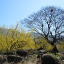 청산유수 이미지