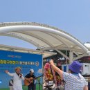 파크골프 처음 시작하려면? 꼭 필요한 준비물만 딱 정리해드려요! 이미지