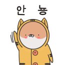 출근길 강아지 유치원 이미지