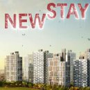 스테이정의 이미지