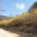 보금자리노인전문요양원 이미지