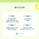 뉴코키아치과병원 이미지