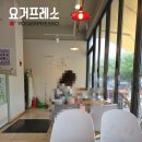 요거프레소 운정호수점