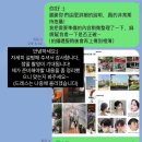 지니네일스튜디오(jininail studio) | [W.snap] #5. 대만에서 웨딩 촬영 | 플래너 없이 결혼 | 타이난 프리웨딩 스냅 헤어•메이크업 Genie...