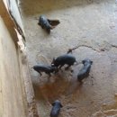 로또매니아 이미지