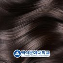 헤어디자인 이미지