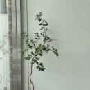 은계호수공원 화장실 | [시흥] 은계 호수공원뷰 데저트 맛집 느좋 카페 ‘어사이드커피’ 후기