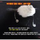 아붕 이미지