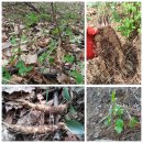 천지농장 이미지