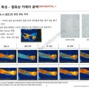 코데코(주) - 고성군 고성읍 | 코데코(주)