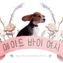 강풀한테 트위터 멘션 날린 매우작고 소소한 썰(무려 25나명의 여시들이 웃어줘서 수줍게 셀진했네) 이미지