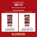펫맘애 이미지