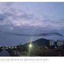 제주항공 사고기 &#39;메이데이&#39; 직전..거대한 용모양 &#39;새 떼&#39; 포착 사진 소름 이미지