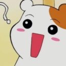 2019 광명동굴 대한민국 와인 페스티벌 이미지