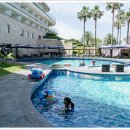 까망돼지 이미지