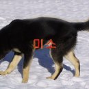 (주)백합사 Daum카페