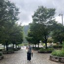 단지골 몽상가 이미지