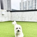 아이멍그라운드