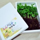 삼순농장 네이버블로그