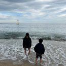 사천항포구 이미지