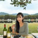 더 로쉐 | 데일리와인 로쉐마제 까베르네 소비뇽 샤르도네 2종 후기