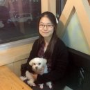 쁘띠시앙 이미지