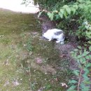 주차19 이미지