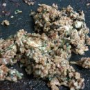 쭈꾸미신화 이미지